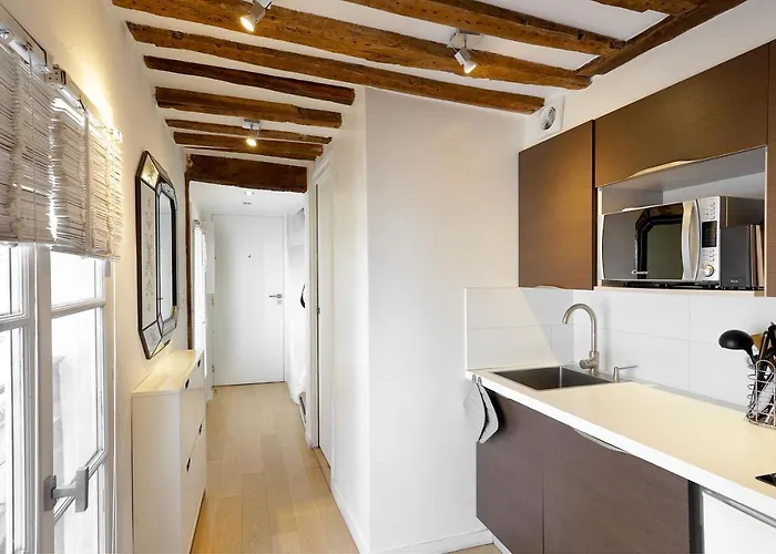 Habitat Parisien - 1br-1ba - Duplex Louvre Museum Paris